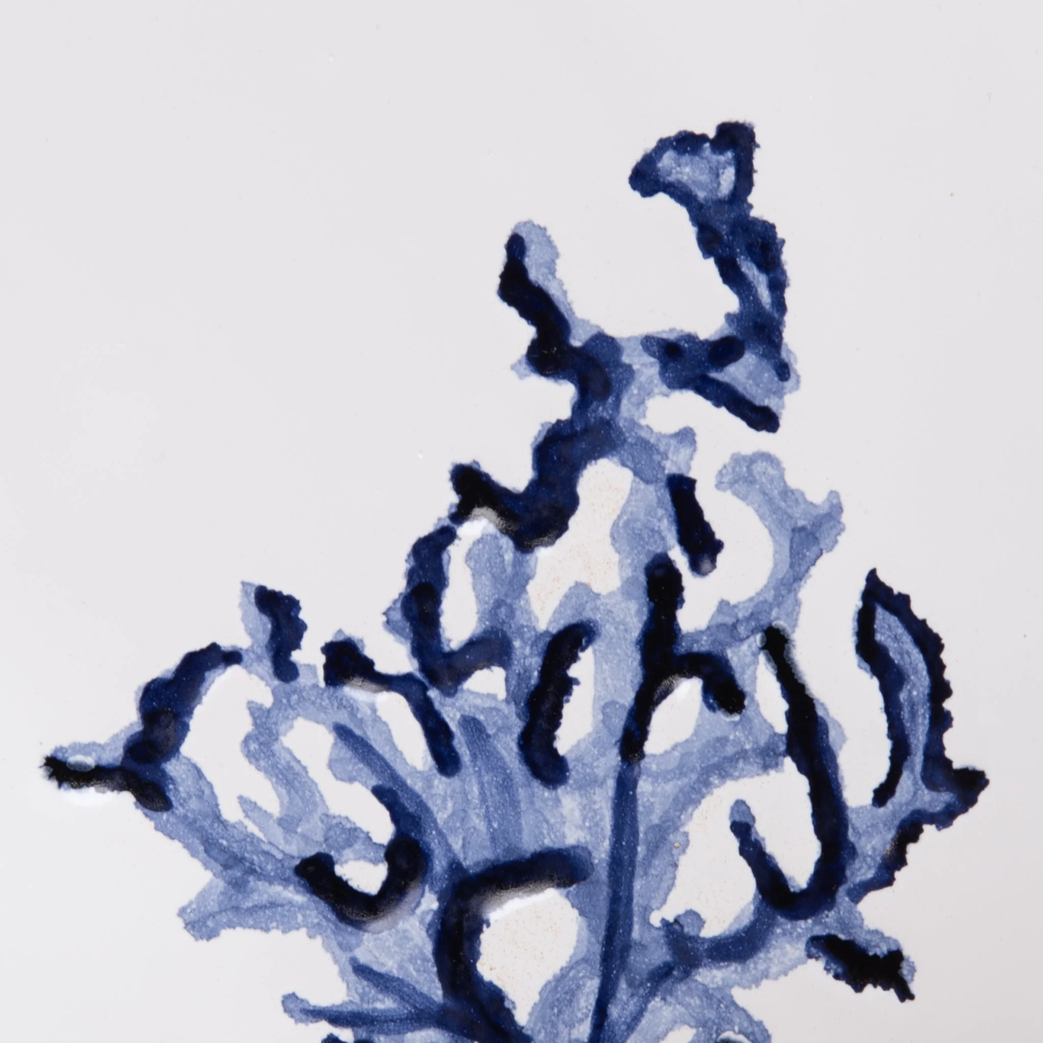 Side Plate Coral Blue - - Image 3
