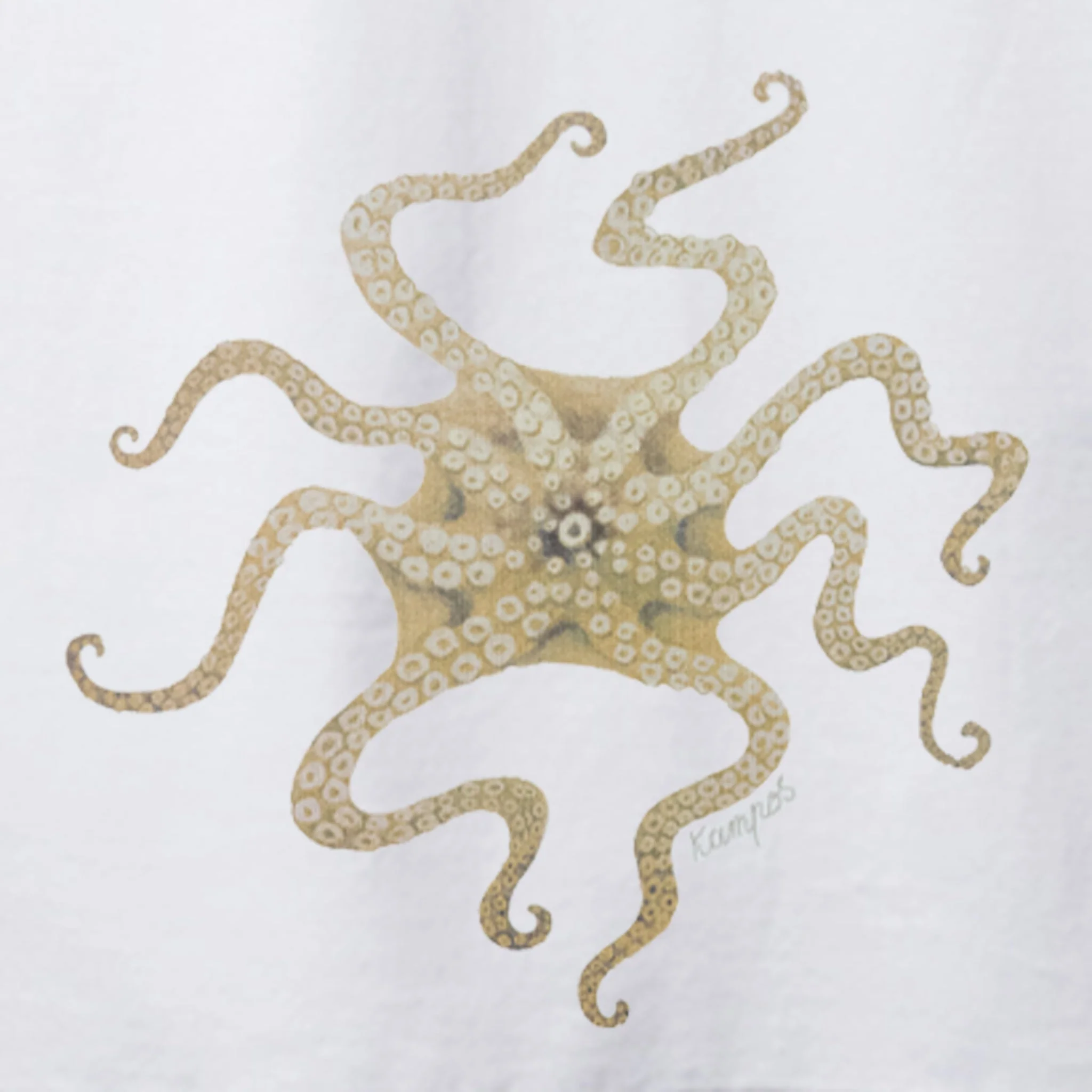 T-Shirt Octopus - - Image 2